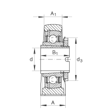 直立式軸承座單元 RASEA20-N, 鑄鐵軸承座，帶緊定套的外球面球軸承，R 型密封